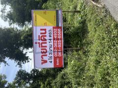 ขายที่ดิน 4ไร่ครึ่งเมืองตาก-202511241552431763974363730.jpg