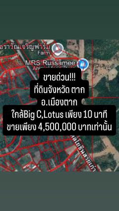 ขายที่ดิน 4ไร่ครึ่งเมืองตาก-202511241552461763974366088.jpg