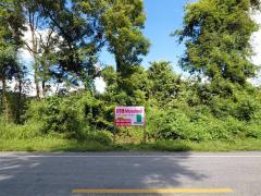 ขายที่ดิน 4ไร่ครึ่งเมืองตาก-202511241552471763974367174.jpg