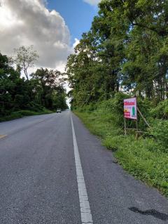 ขายที่ดิน 4ไร่ครึ่งเมืองตาก-202511241552471763974367767.jpg