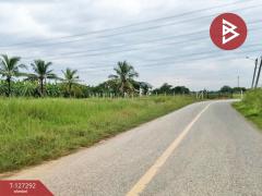 ขายที่ดิน เนื้อที่ 1 ไร่ 2 งาน 65 ตร.วา หนองจอก กรุงเทพมหานคร-202511241628371763976517506.jpg