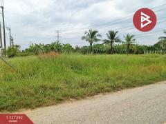 ขายที่ดิน เนื้อที่ 1 ไร่ 2 งาน 65 ตร.วา หนองจอก กรุงเทพมหานคร-202511241628381763976518090.jpg