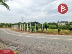 ขายที่ดิน เนื้อที่ 1 ไร่ 2 งาน 65 ตร.วา หนองจอก กรุงเทพมหานคร-202511241628401763976520493.jpg