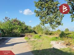 ขายที่ดินสวนลำไย-เนื้อที่-8-ไร่-8-ตารา