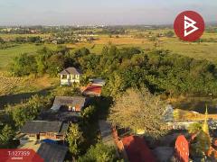 ขายที่ดินสวนลำไย เนื้อที่ 8 ไร่ 8 ตารางวา ต.ป่าสัก เมืองลำพูน-202511241707061763978826558.jpg