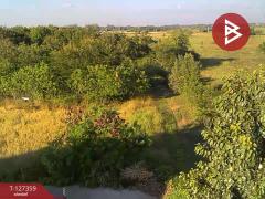 ขายที่ดินสวนลำไย เนื้อที่ 8 ไร่ 8 ตารางวา ต.ป่าสัก เมืองลำพูน-202511241707071763978827110.jpg