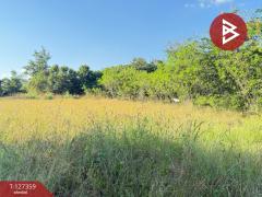 ขายที่ดินสวนลำไย เนื้อที่ 8 ไร่ 8 ตารางวา ต.ป่าสัก เมืองลำพูน-202511241707081763978828774.jpg