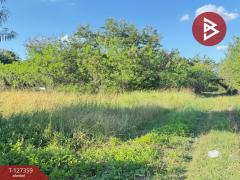 ขายที่ดินสวนลำไย เนื้อที่ 8 ไร่ 8 ตารางวา ต.ป่าสัก เมืองลำพูน-202511241707091763978829341.jpg