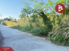 ขายที่ดินสวนลำไย เนื้อที่ 8 ไร่ 8 ตารางวา ต.ป่าสัก เมืองลำพูน-202511241707091763978829914.jpg