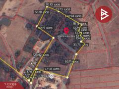 ขายที่ดินสวนลำไย เนื้อที่ 8 ไร่ 8 ตารางวา ต.ป่าสัก เมืองลำพูน-202511241707131763978833259.jpg