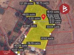 ขายที่ดินสวนลำไย เนื้อที่ 8 ไร่ 8 ตารางวา ต.ป่าสัก เมืองลำพูน-202511241707131763978833798.jpg