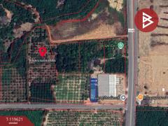 ขายที่ดินพร้อมสวนผสม-เนื้อที่-6-ไร่-2-