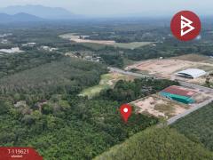 ขายที่ดินพร้อมสวนผสม เนื้อที่ 6 ไร่ 2 งาน 79.7 ตารางวา ต.แสลง จันทบุรี-202511241725071763979907352.jpg