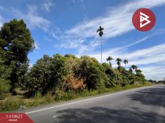 ขายที่ดินพร้อมสวนผสม เนื้อที่ 6 ไร่ 2 งาน 79.7 ตารางวา ต.แสลง จันทบุรี-202511241725081763979908520.jpg