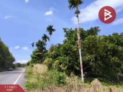 ขายที่ดินพร้อมสวนผสม เนื้อที่ 6 ไร่ 2 งาน 79.7 ตารางวา ต.แสลง จันทบุรี-202511241725091763979909065.jpg