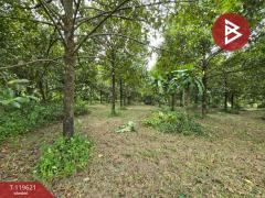 ขายที่ดินพร้อมสวนผสม เนื้อที่ 6 ไร่ 2 งาน 79.7 ตารางวา ต.แสลง จันทบุรี-202511241725101763979910180.jpg