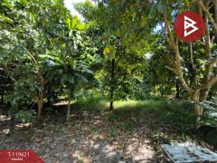 ขายที่ดินพร้อมสวนผสม เนื้อที่ 6 ไร่ 2 งาน 79.7 ตารางวา ต.แสลง จันทบุรี-202511241725101763979910736.jpg