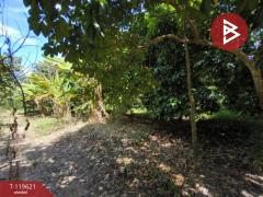 ขายที่ดินพร้อมสวนผสม เนื้อที่ 6 ไร่ 2 งาน 79.7 ตารางวา ต.แสลง จันทบุรี-202511241725111763979911293.jpg