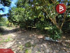 ขายที่ดินพร้อมสวนผสม เนื้อที่ 6 ไร่ 2 งาน 79.7 ตารางวา ต.แสลง จันทบุรี-202511241725121763979912407.jpg