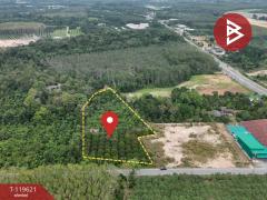 ขายที่ดินพร้อมสวนผสม เนื้อที่ 6 ไร่ 2 งาน 79.7 ตารางวา ต.แสลง จันทบุรี-202511241725141763979914111.jpg