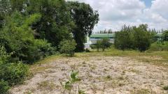 ลด 3.5 ล้าน !! ที่ดินติดถนน 11-3-9 ไร่ พร้อมไฟฟ้าประปา อ.บัวใหญ่ จ.โคราช ใกล้โรงเรียนบัวใหญ่ โลตัสฯ-202511241856121763985372821.jpg