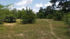 ลด 3.5 ล้าน !! ที่ดินติดถนน 11-3-9 ไร่ พร้อมไฟฟ้าประปา อ.บัวใหญ่ จ.โคราช ใกล้โรงเรียนบัวใหญ่ โลตัสฯ-202511241856141763985374369.jpg