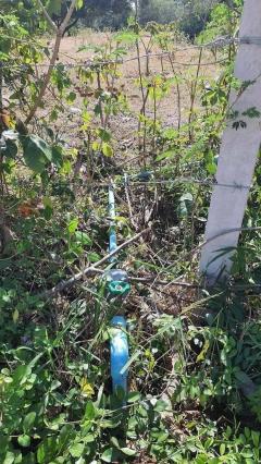 ลด 3.5 ล้าน !! ที่ดินติดถนน 11-3-9 ไร่ พร้อมไฟฟ้าประปา อ.บัวใหญ่ จ.โคราช ใกล้โรงเรียนบัวใหญ่ โลตัสฯ-202511241856161763985376061.jpg