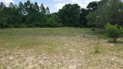 ลด 3.5 ล้าน !! ที่ดินติดถนน 11-3-9 ไร่ พร้อมไฟฟ้าประปา อ.บัวใหญ่ จ.โคราช ใกล้โรงเรียนบัวใหญ่ โลตัสฯ-202511241856181763985378713.jpg