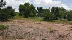 ลด 3.5 ล้าน !! ที่ดินติดถนน 11-3-9 ไร่ พร้อมไฟฟ้าประปา อ.บัวใหญ่ จ.โคราช ใกล้โรงเรียนบัวใหญ่ โลตัสฯ-202511241856191763985379215.jpg