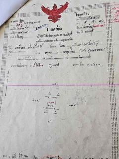 ขายที่ดิน 4 ไร่ 135 ตารางวา อ.ไทรน้อย จ.นนทบุรี หน้ากว้างติดถนนตัดใหม่ บรรยากาศดี โทร 065-365-4426-202511242131521763994712546.jpg