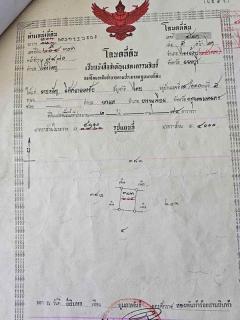 ขายที่ดิน 4 ไร่ 135 ตารางวา อ.ไทรน้อย จ.นนทบุรี หน้ากว้างติดถนนตัดใหม่ บรรยากาศดี โทร 065-365-4426-202511242131531763994713051.jpg