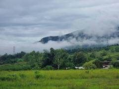 ขายที่ดินสวยเขาค้อ 5 ไร่ 32 ตร.วา ราคา 35 ล้านบาท วิวภูเขา ต.แคมป์สน อ.เขาค้อ จ.เพชรบูรณ์