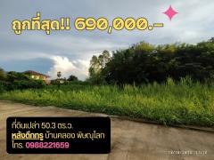 ถูกที่สุด!! ที่ดินเปล่า หลังตึกทรู บ้านคลอง พิษณุโลก