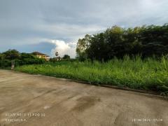 ถูกที่สุด!! ที่ดินเปล่า หลังตึกทรู บ้านคลอง พิษณุโลก-202511250341251764016885324.jpg