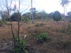 พื้นที่ดิน ที่ดิน หาดหน้าทอน เกาะสมุย ดีดี ที่ดินสวนมะพร้าว อยู่ติดถนน แปลงมุม มีน้ำ และมีไฟฟ้าเข้าถึงที่ดิน (พร้อมนำไปพัฒนาต่อได้เลย)