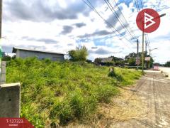 ขายที่ดิน เนื้อที่ 2 งาน เสม็ด ชลบุรี-202511250914131764036853016.jpg