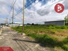 ขายที่ดิน เนื้อที่ 2 งาน เสม็ด ชลบุรี-202511250914131764036853752.jpg