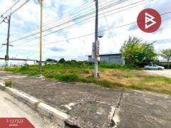 ขายที่ดิน เนื้อที่ 2 งาน เสม็ด ชลบุรี-202511250914151764036855362.jpg