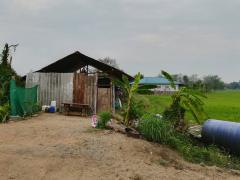 ที่ดินฝาง เชียงใหม่-202511250945541764038754375.jpg