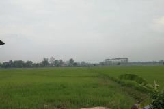 ที่ดินฝาง เชียงใหม่-202511250945541764038754939.jpg