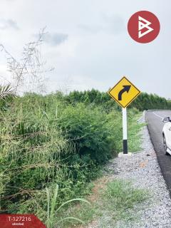 ขายที่ดิน เนื้อที่ 22 ไร่ 1 งาน 41 ตารางวา อ.หนองใหญ่ ชลบุรี-202511251019061764040746690.jpg