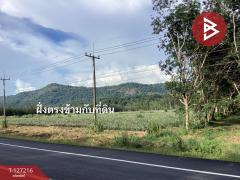 ขายที่ดิน เนื้อที่ 22 ไร่ 1 งาน 41 ตารางวา อ.หนองใหญ่ ชลบุรี-202511251019071764040747230.jpg