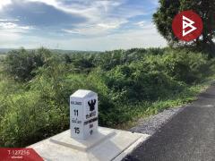 ขายที่ดิน เนื้อที่ 22 ไร่ 1 งาน 41 ตารางวา อ.หนองใหญ่ ชลบุรี-202511251019071764040747789.jpg