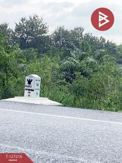 ขายที่ดิน เนื้อที่ 22 ไร่ 1 งาน 41 ตารางวา อ.หนองใหญ่ ชลบุรี-202511251019081764040748916.jpg