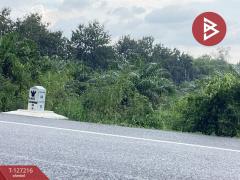 ขายที่ดิน เนื้อที่ 22 ไร่ 1 งาน 41 ตารางวา อ.หนองใหญ่ ชลบุรี-202511251019091764040749459.jpg