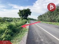 ขายที่ดิน เนื้อที่ 22 ไร่ 1 งาน 41 ตารางวา อ.หนองใหญ่ ชลบุรี-202511251019101764040750548.jpg