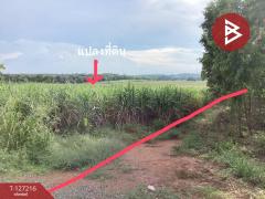 ขายที่ดิน เนื้อที่ 22 ไร่ 1 งาน 41 ตารางวา อ.หนองใหญ่ ชลบุรี-202511251019111764040751096.jpg