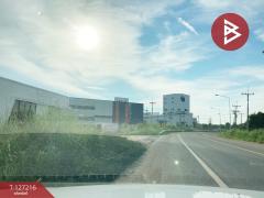 ขายที่ดิน เนื้อที่ 22 ไร่ 1 งาน 41 ตารางวา อ.หนองใหญ่ ชลบุรี-202511251019111764040751646.jpg