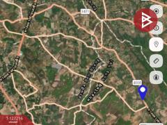 ขายที่ดิน เนื้อที่ 22 ไร่ 1 งาน 41 ตารางวา อ.หนองใหญ่ ชลบุรี-202511251019121764040752214.jpg