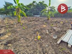 ขายที่ดินทั้งหมด 3 แปลง เนื้อที่รวม 1 ไร่ 52 ตารางวา ซอยประชาชื่น 27 กรุงเทพฯ ทำเลดี-202511251054541764042894544.jpg